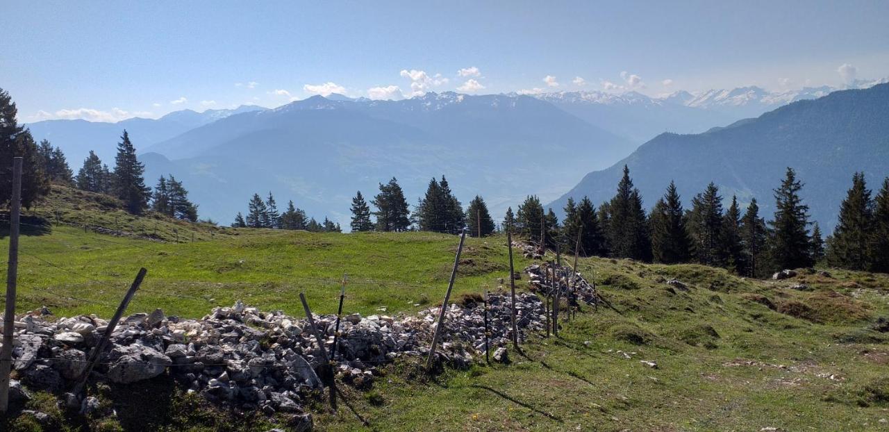 Ferienwohnungen Hochzillertal Kaltenbach Εξωτερικό φωτογραφία