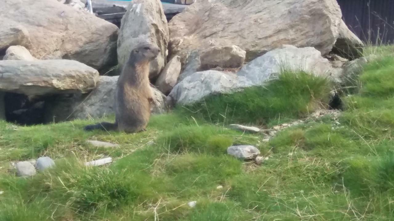 Ferienwohnungen Hochzillertal Kaltenbach Εξωτερικό φωτογραφία